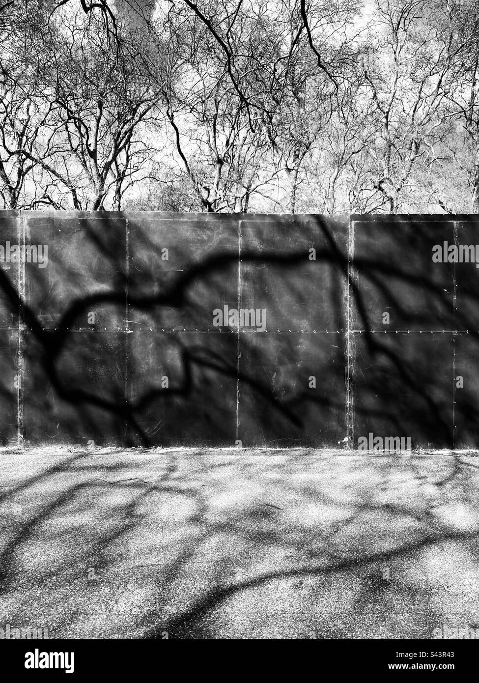 Abstract Tree Shadows su una recinzione metallica Foto Stock