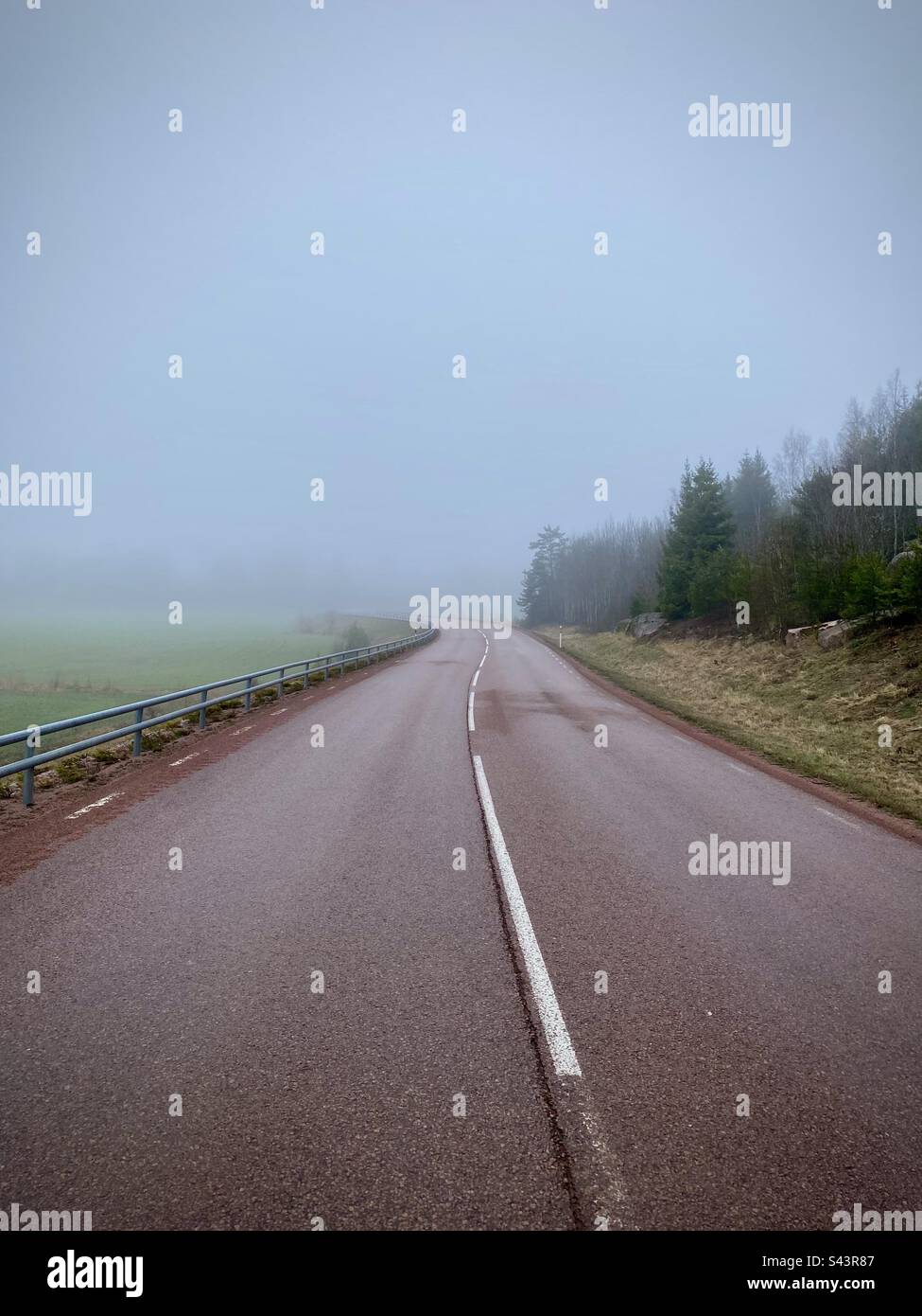 Una strada asfaltata curva che si snodano nella nebbia mattutina scompare nel nulla con l'iconico asfalto rosso delle isole Åland in Finlandia Foto Stock