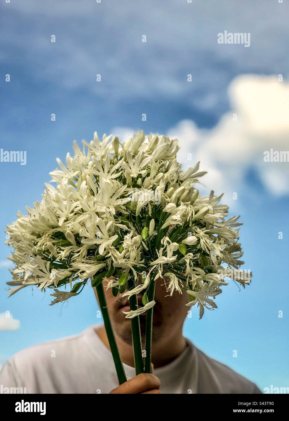 Primo piano ritratto di un giovane che tiene un bouquet di fiori bianchi di Agapanthus, noti anche come giglio del Nilo o giglio africano, davanti al suo volto contro il cielo azzurro pallido con una nuvola bianca. Estate. Foto Stock