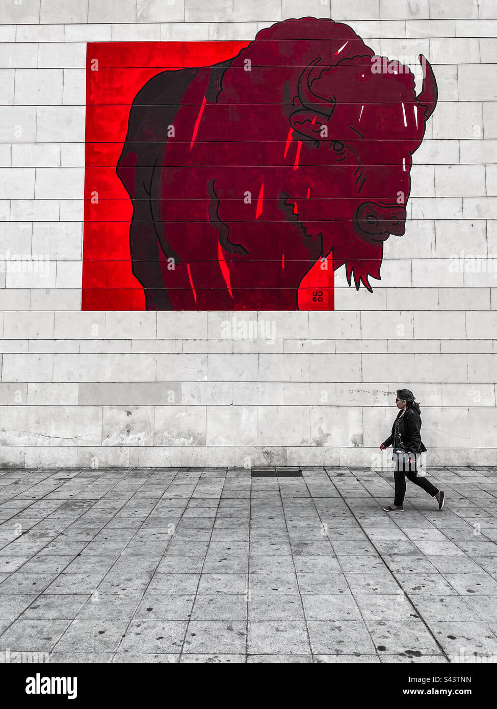 Camminando sotto lo sguardo di un bufalo - Immagine stock catturata con smartphone