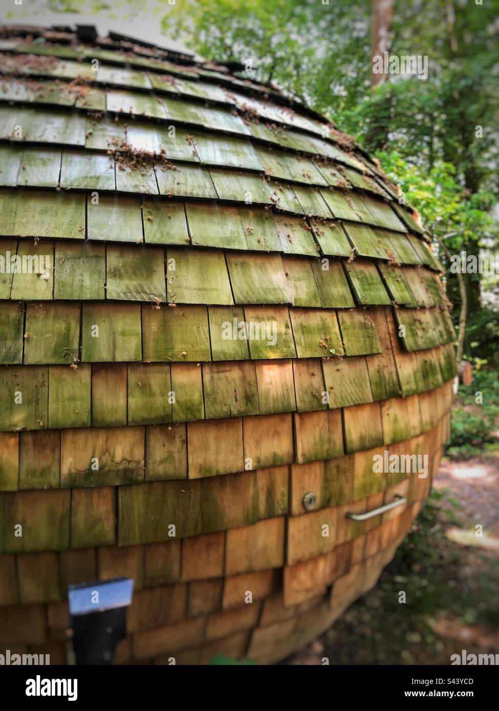 Pod di lavoro nel bosco del campus del Lancaster Institute for the Contemporary Arts - Immagine stock catturata con smartphone