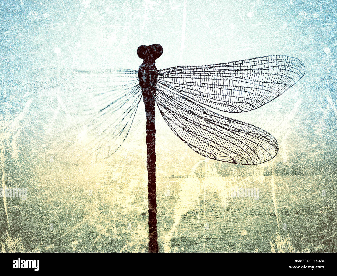 Fragili ali di una libellula - Immagine stock catturata con smartphone