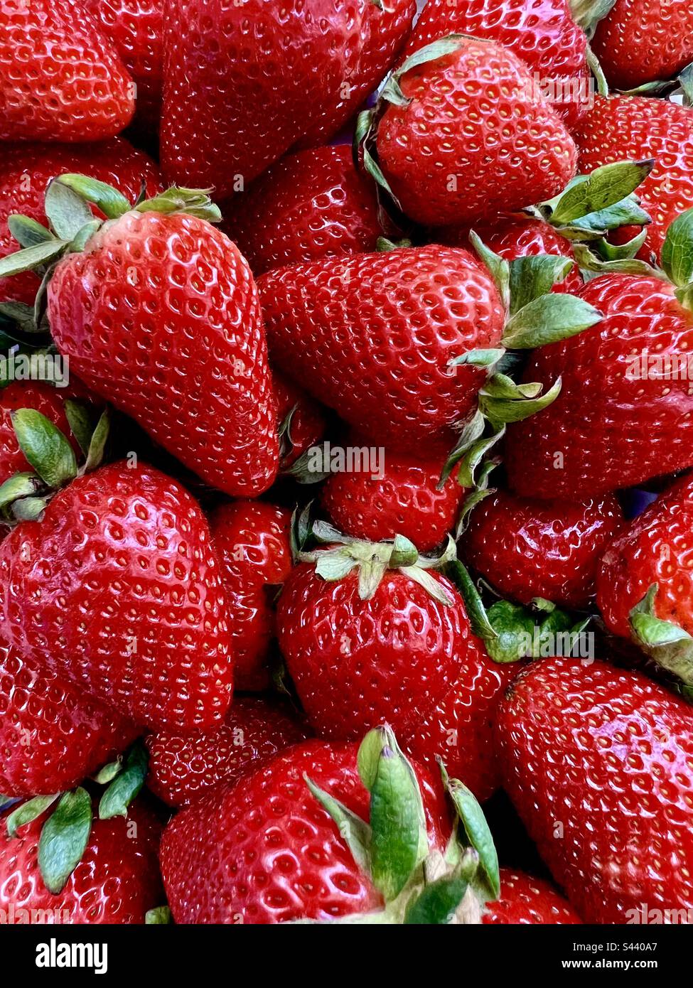 Cornice verticale completa di fragole - Immagine stock catturata con smartphone