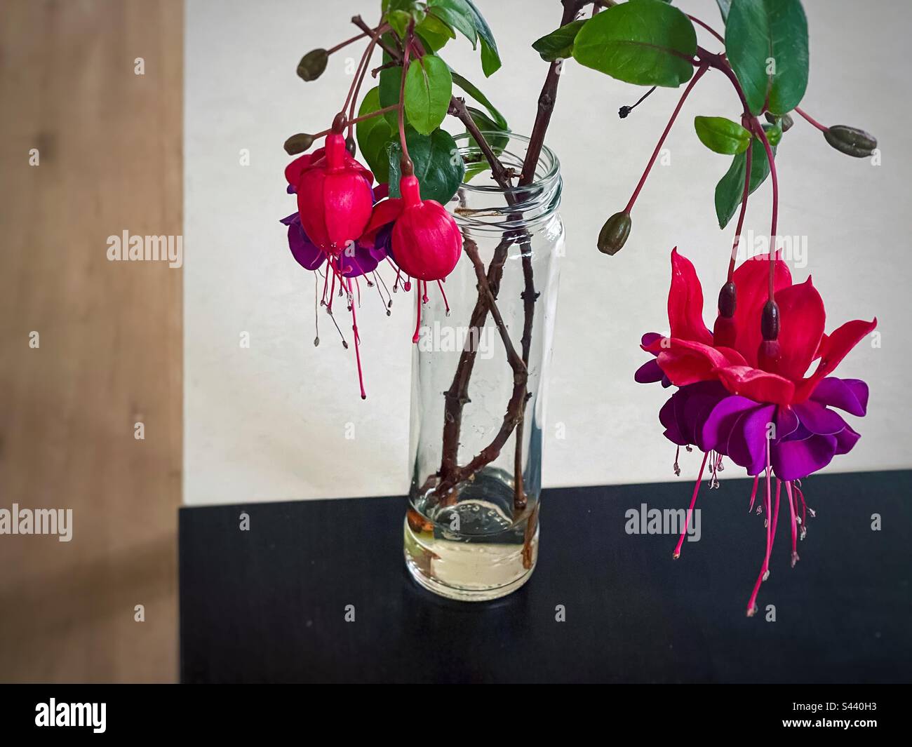 Shot artistico di colorati steli di fiori di fucsia in bottiglia di vetro su tavoli bianchi e neri contro pavimenti in legno. Prospettiva. - Immagine stock catturata con smartphone