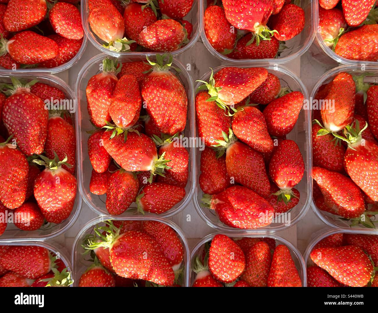 Punzoni in plastica di fragole mature in vendita in un mercato francese di strada Foto Stock