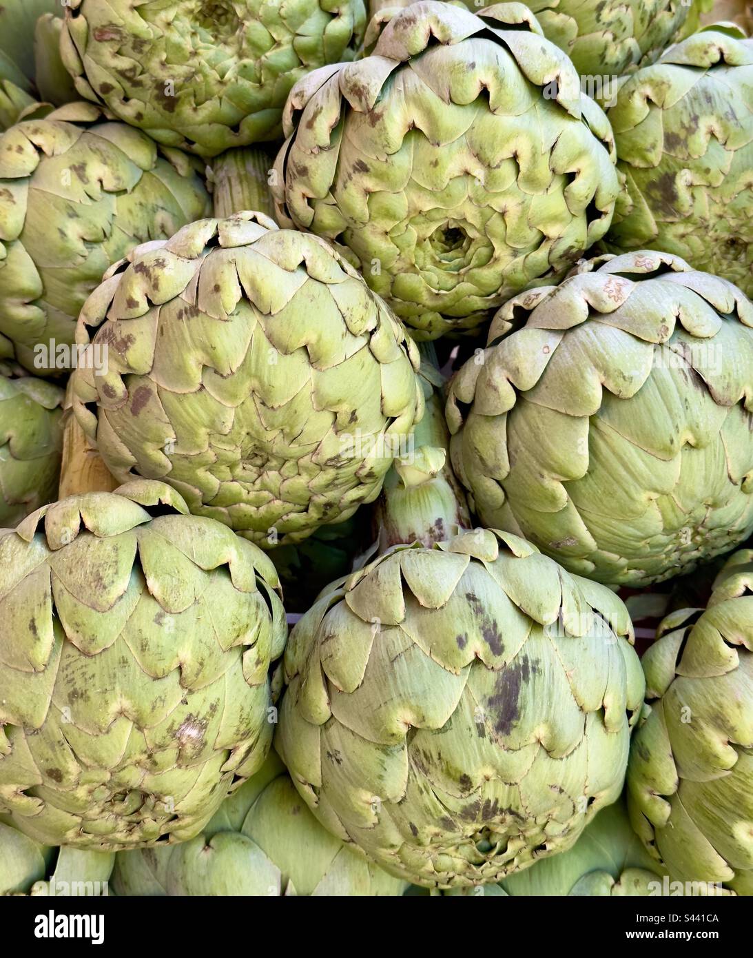 Carciofi a globo in vendita in un mercato di strada francese Foto Stock