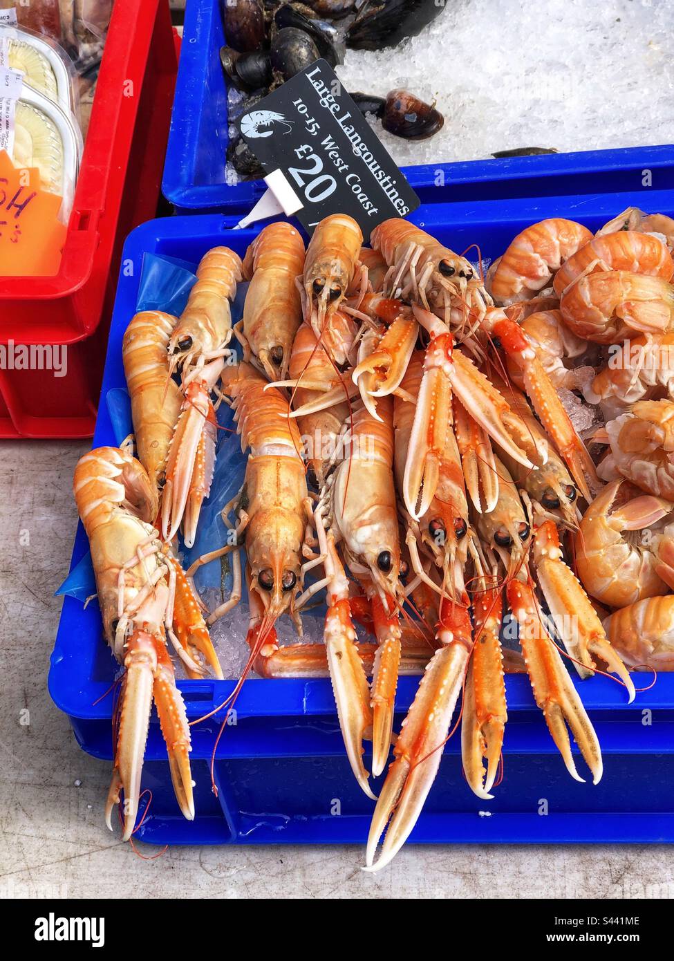 Le grandi langoustine della costa occidentale hanno valutato in su per la vendita ad una stalla del mercato degli agricoltori Foto Stock
