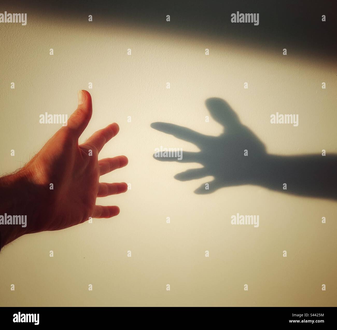 Ombra e mano che si avvicinano l'una all'altra Foto Stock