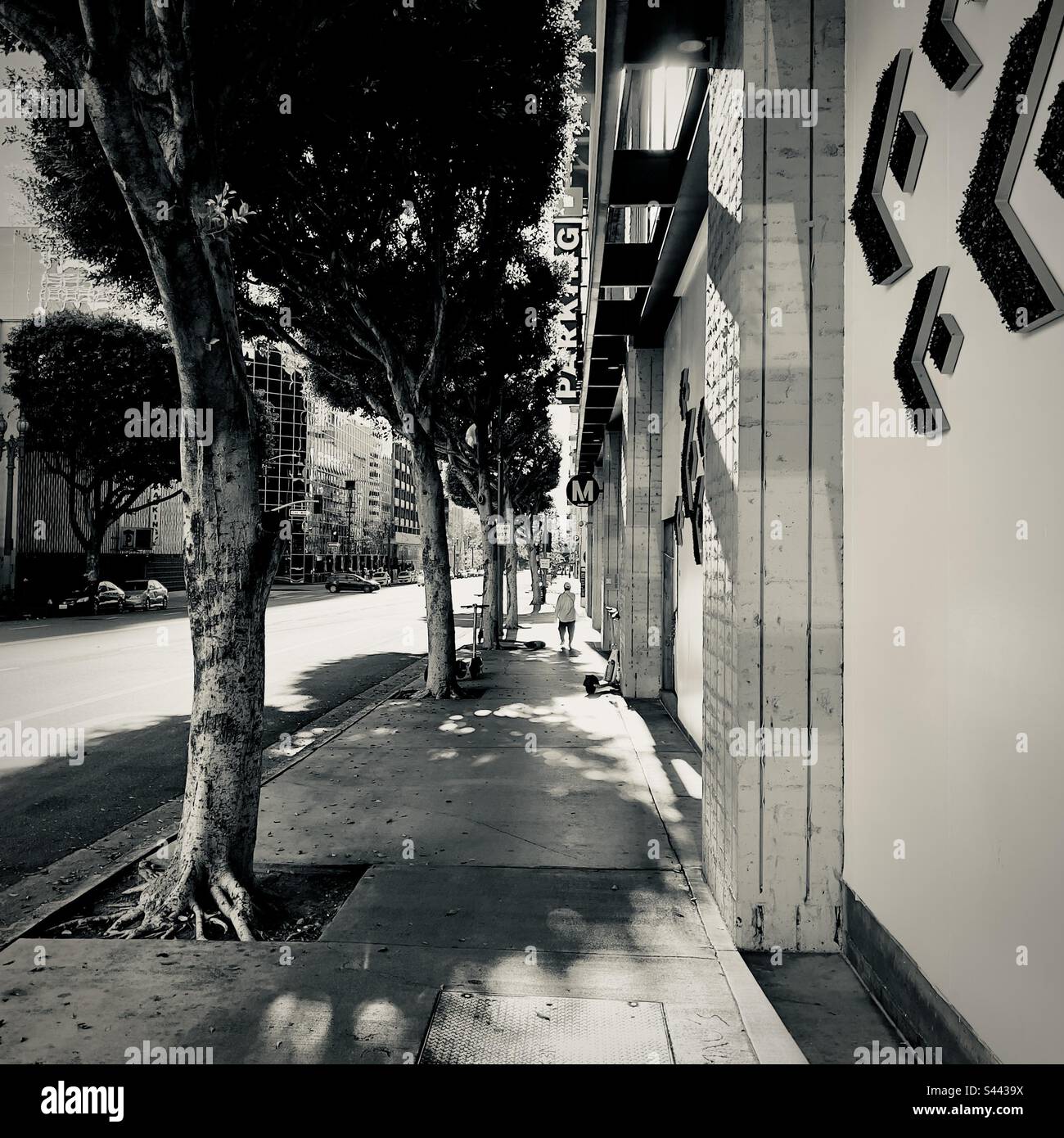 LOS ANGELES, CA, DEC 2022: Vista in bianco e nero, guardando verso sud su Hope Street nel centro città, verso il basso sole invernale creando un contrasto elevato - Immagine stock catturata con smartphone