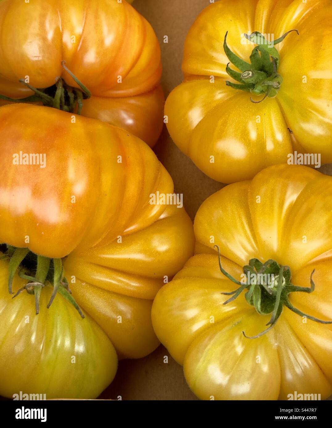 Pomodori gialli dorati in vendita in un mercato francese di strada. Foto Stock