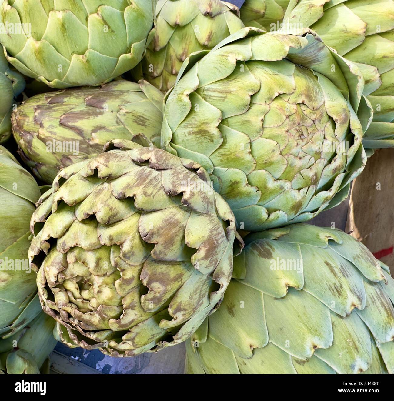Trova grandi esemplari di carciofi globo offerti in vendita in un mercato di strada francese Foto Stock