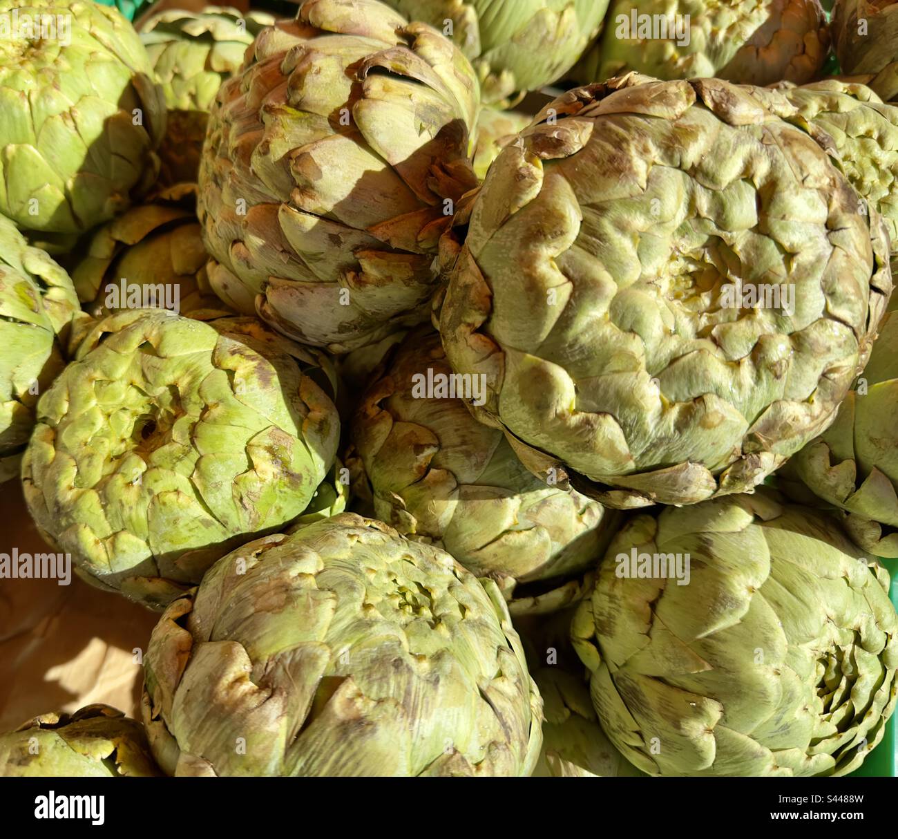 Trova grandi esemplari di carciofi globo offerti in vendita in un mercato di strada francese Foto Stock