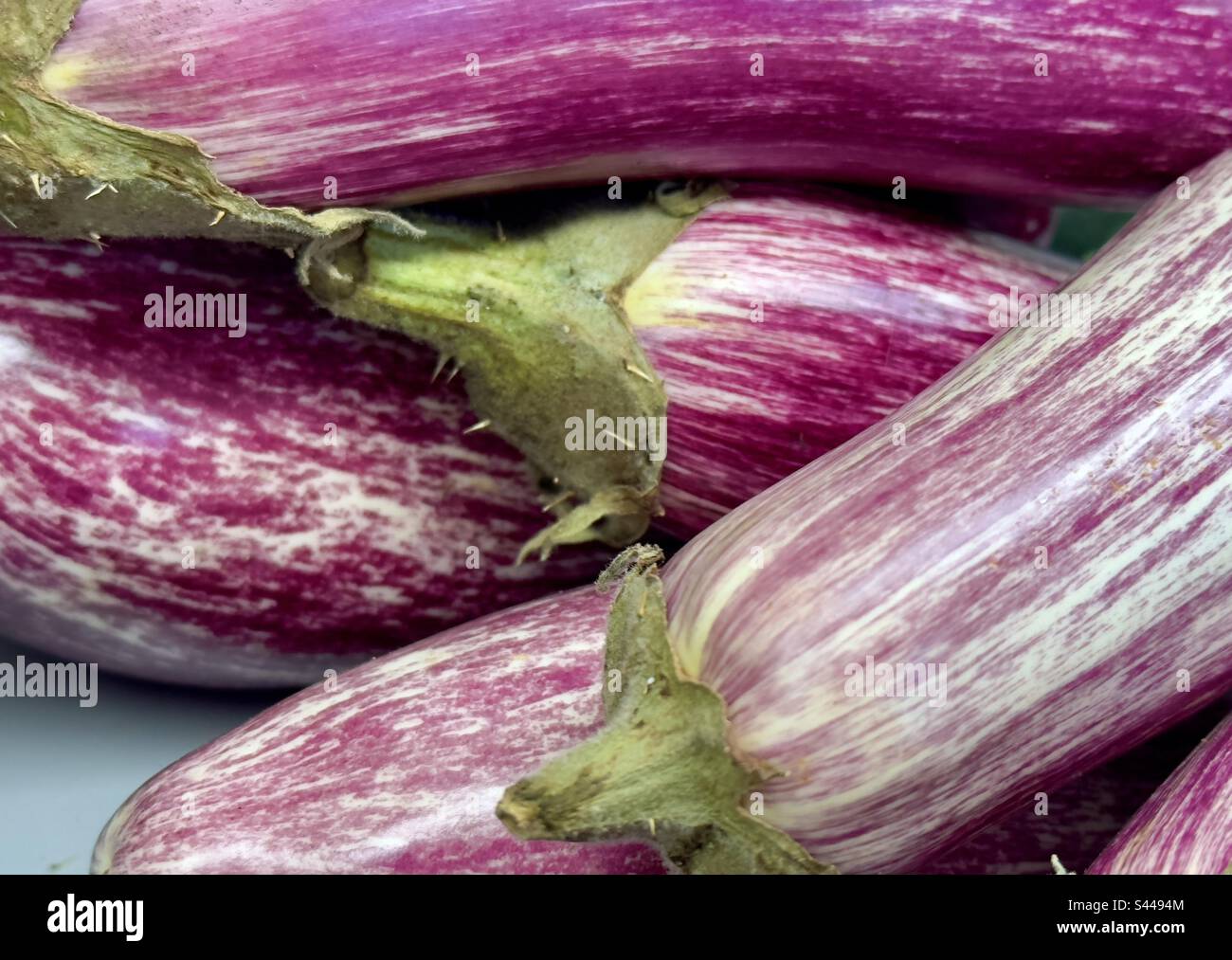 Melanzane a righe viola in vendita in un negozio di fattoria del Worcestershire Foto Stock