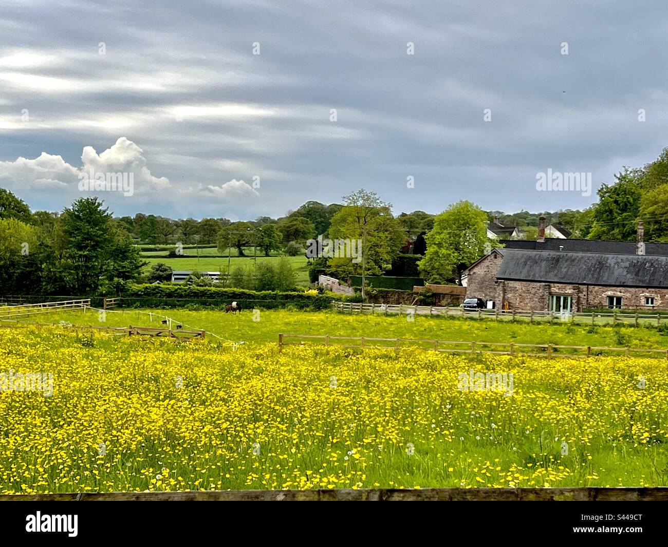 Perfetto scenario inglese di campagna di inizio estate con un ginocchio di campo profondo con farfalle selvatiche Foto Stock