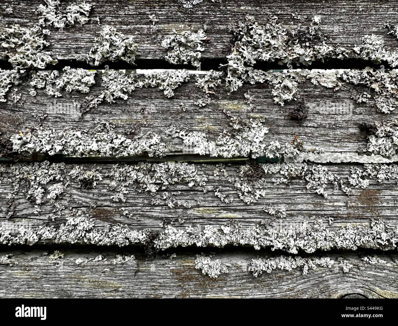 Vecchio tessuto di legno all'aperto - Immagine stock catturata con smartphone