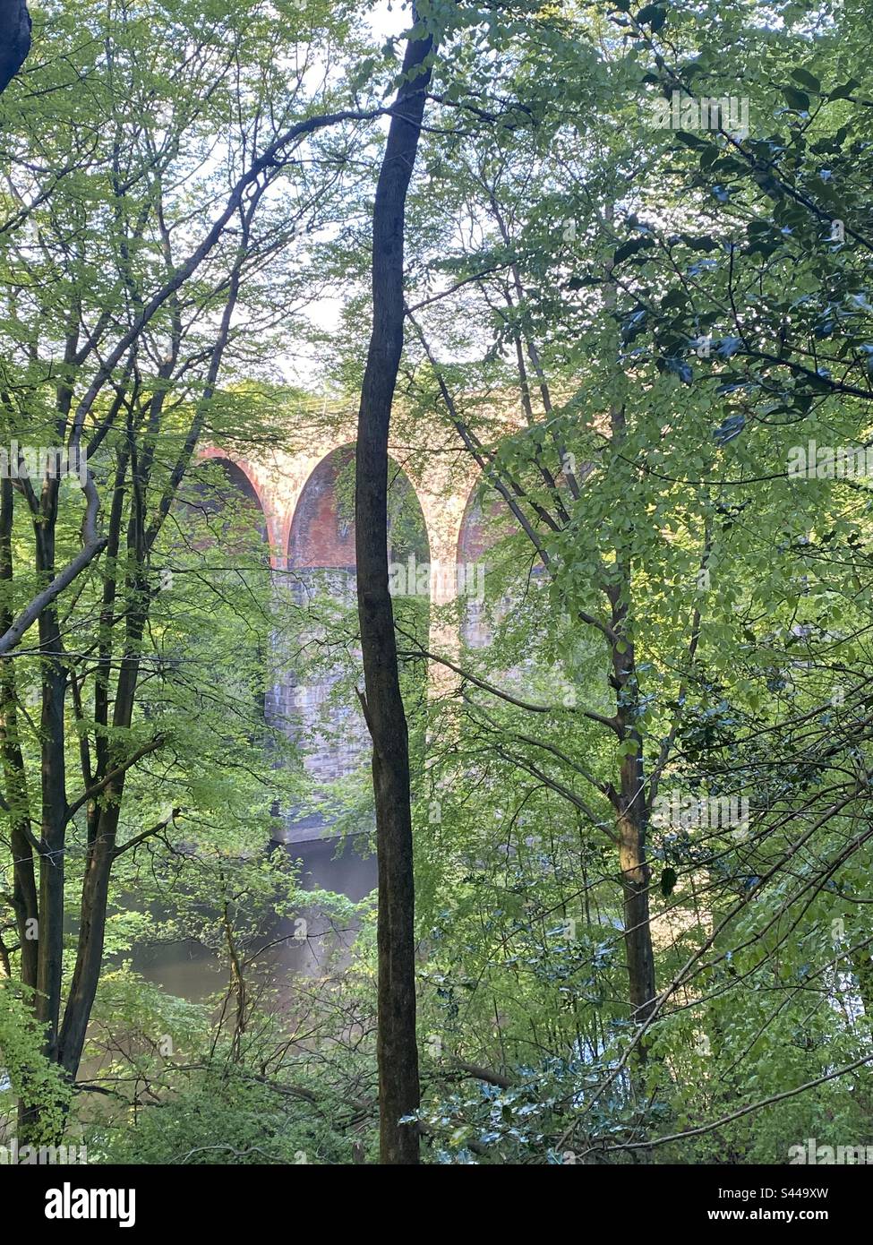 2023 maggio - Viadotto a Wayoh Reservoir Edgworth, Lancashire Foto Stock