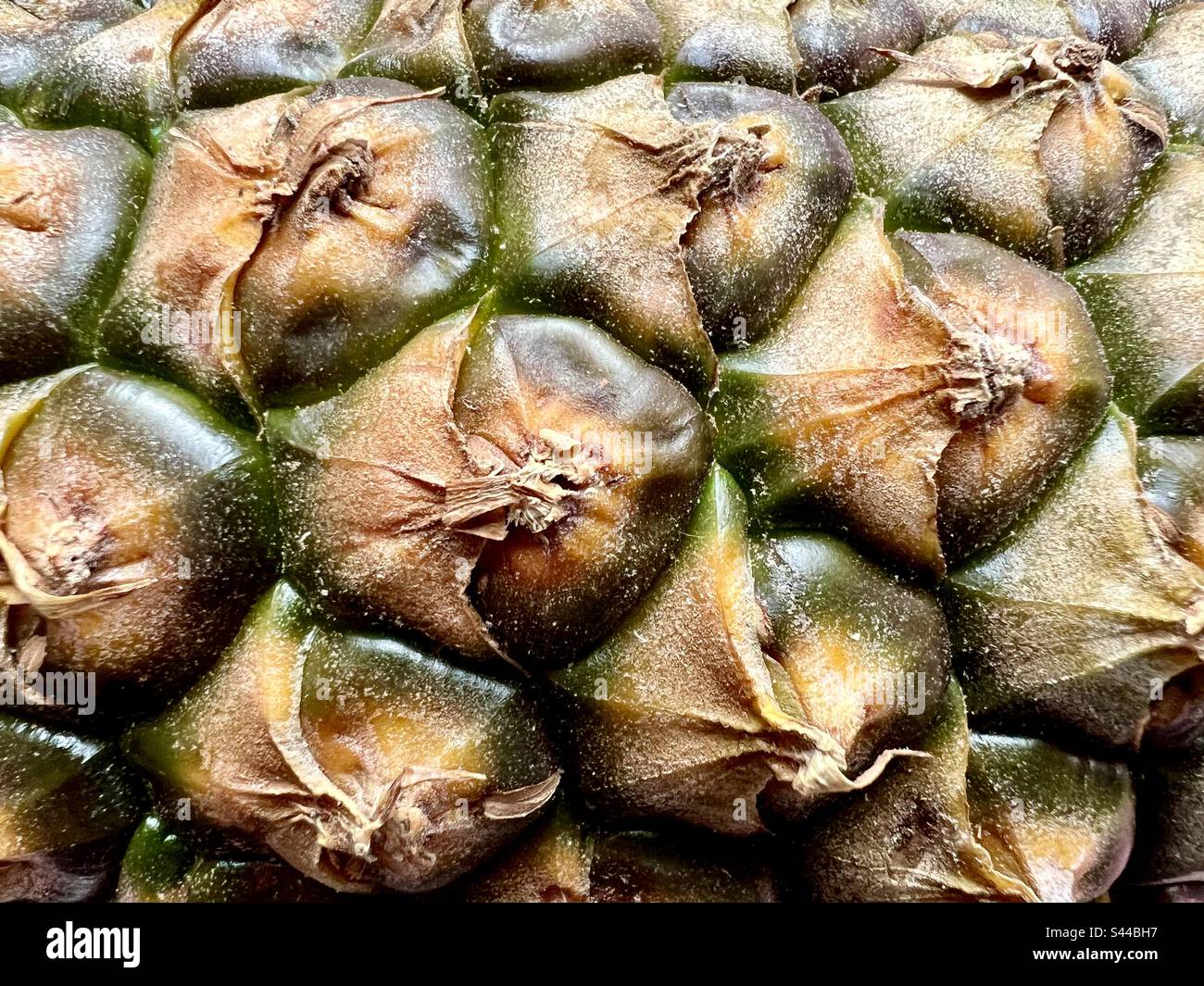 Primo piano dei dettagli di un ananas - Immagine stock catturata con smartphone