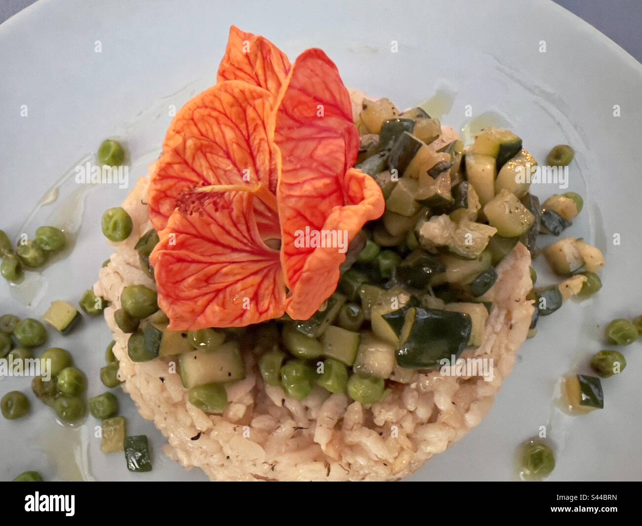 Piatto di risotto con bel fiore di Nasturzio commestibile e verdure verdi tritate per cena. - Immagine stock catturata con smartphone