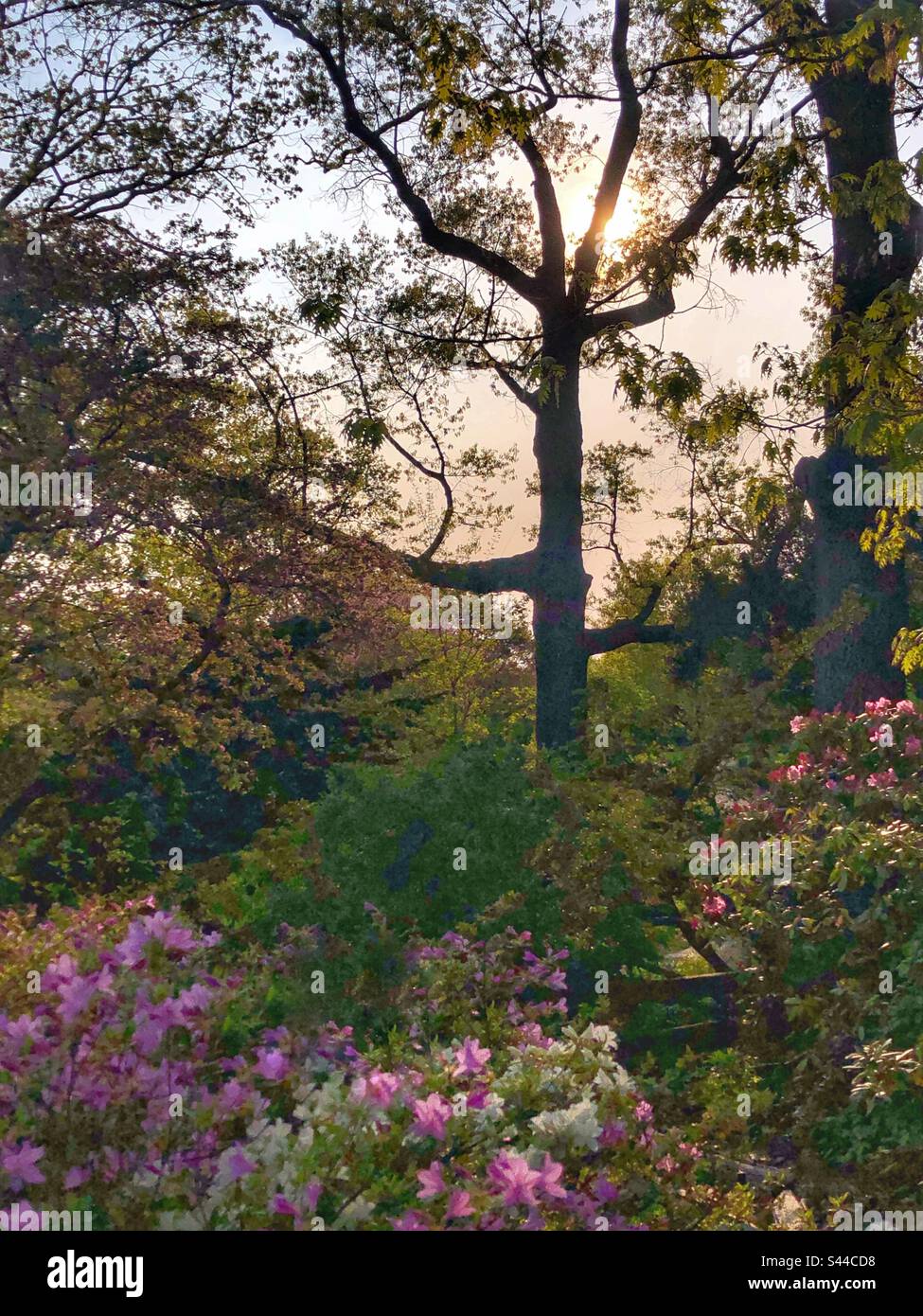 Bellissimo paesaggio primaverile. - Immagine stock catturata con smartphone