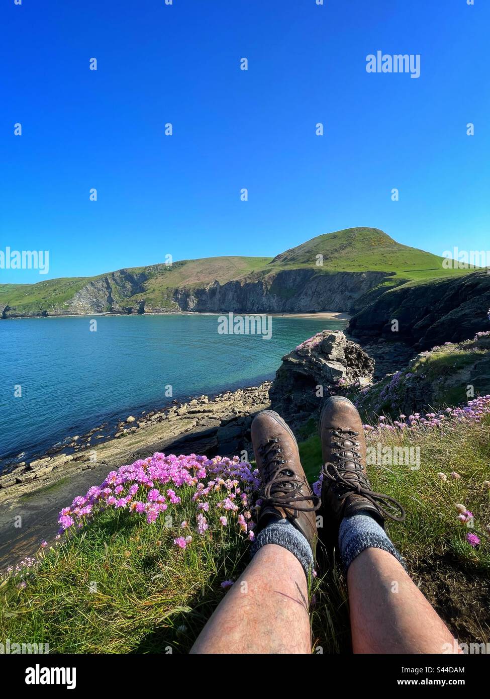 Godendo della vista da Ynys Lochtyn verso la costa di Ceredigion, Llangrannog, Galles Occidentale, Maggio. - Immagine stock catturata con smartphone