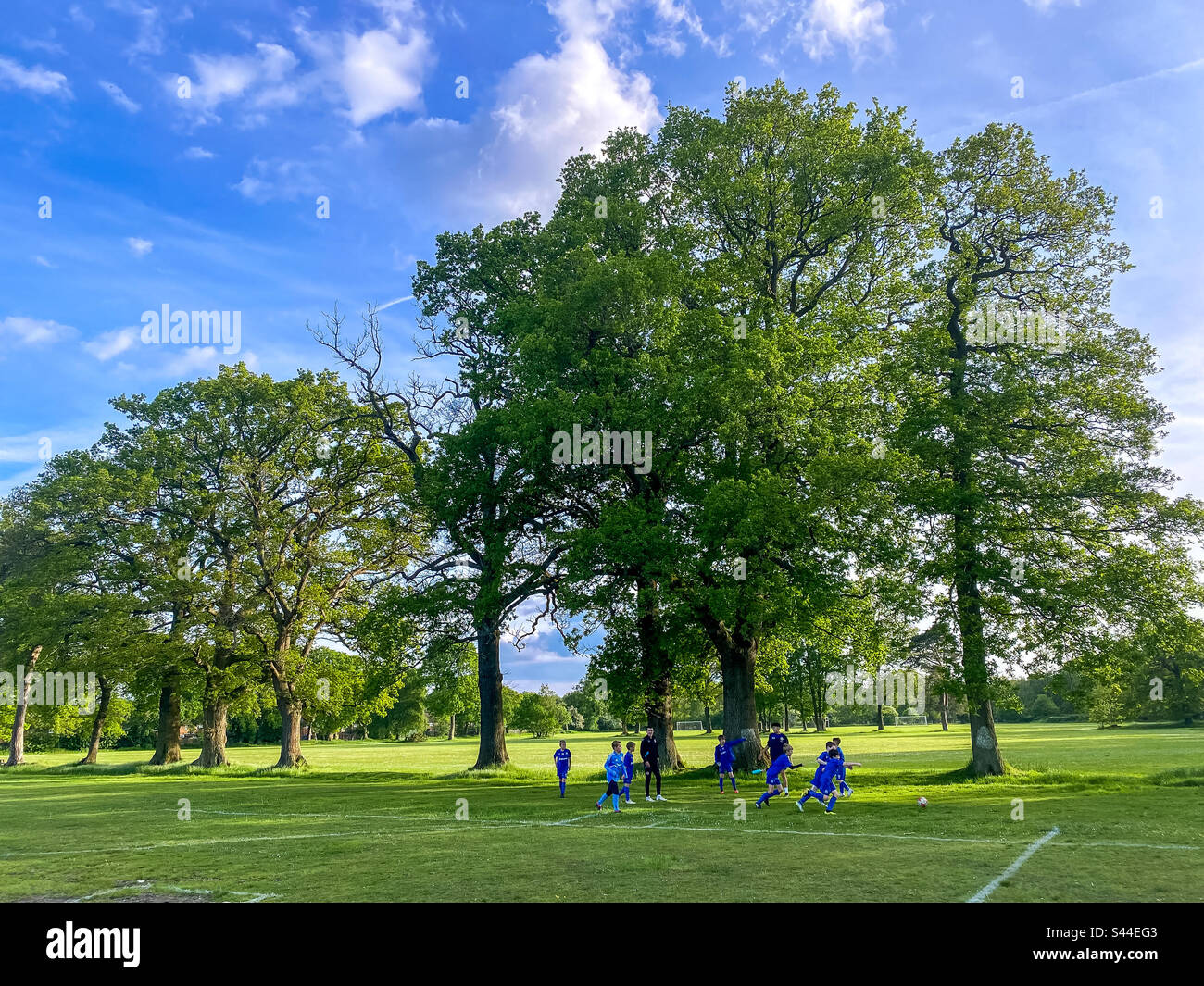 Una squadra di calcio per bambini si allena nel parco sotto un cielo blu di fronte a un gruppo di alberi. Foto Stock