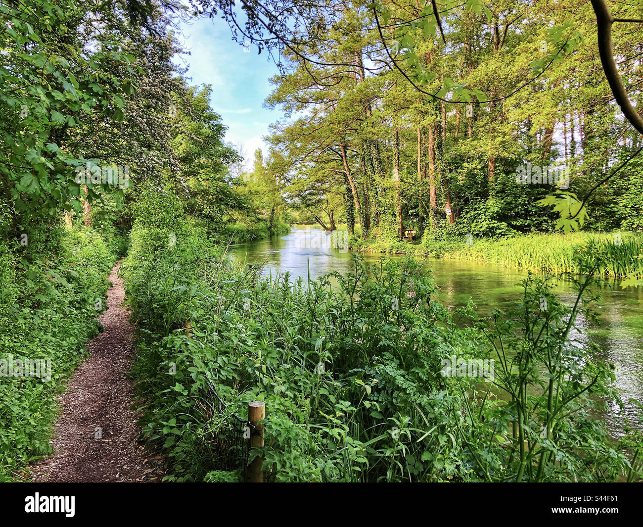 Sentiero vicino al fiume Itchen in primavera a Brambridge, Golden Common, Hampshire, Regno Unito Foto Stock