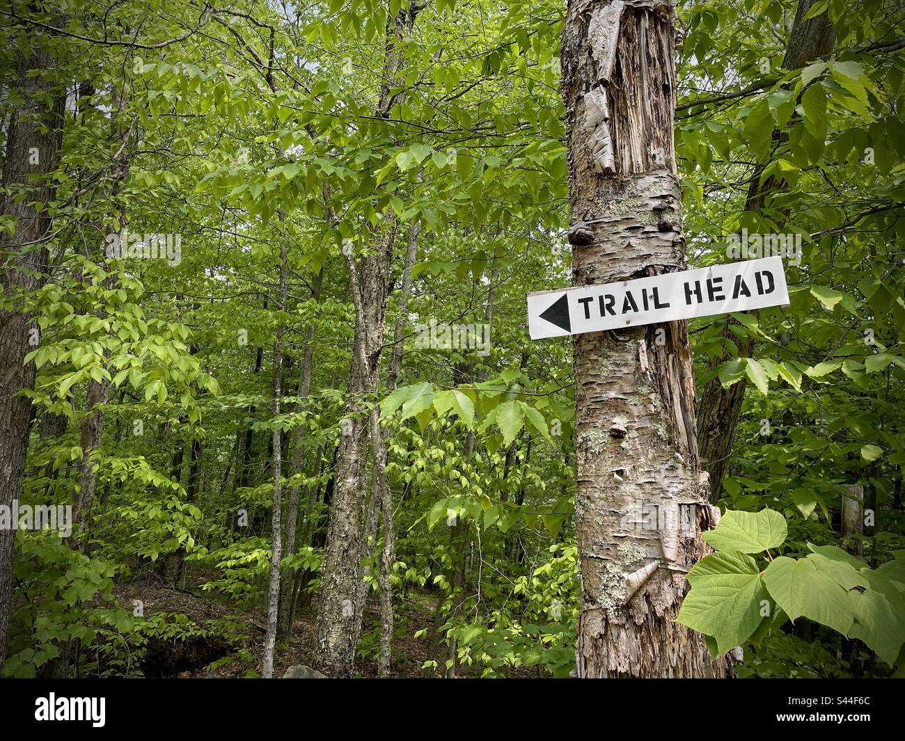 Cartello di testa del sentiero per sentieri escursionistici in primavera nelle Catskill Mountains, New York, USA Foto Stock