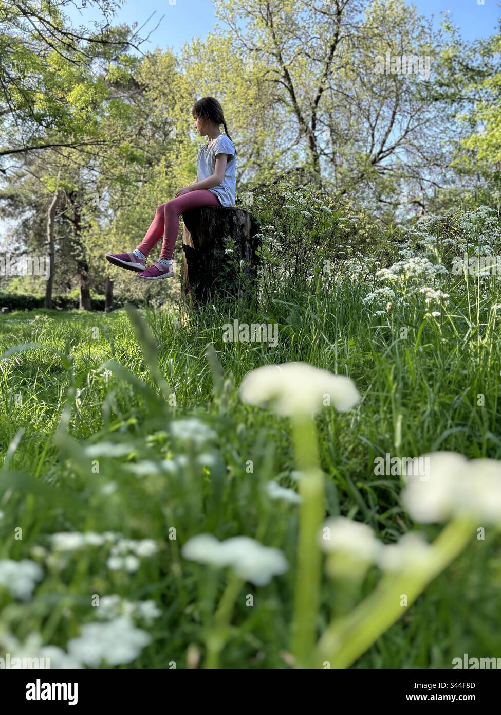 Ragazza seduta su un tronco nel parco circondato da prezzemolo mucca Foto Stock