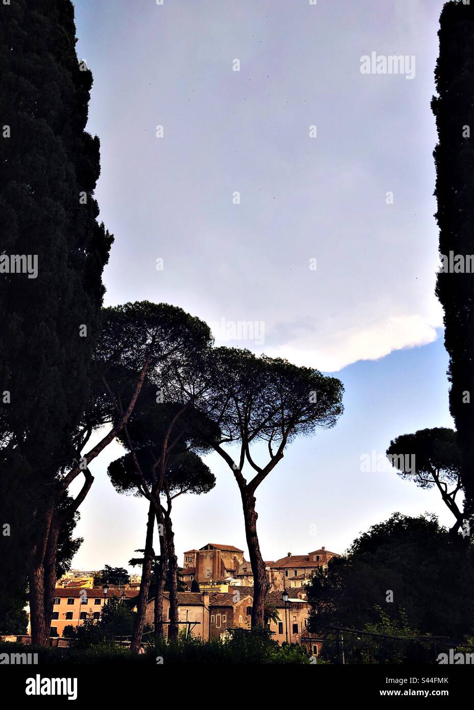 Vista su tetti e alberi dal Parco del Colle Oppio, Roma, Italia - Immagine stock catturata con smartphone