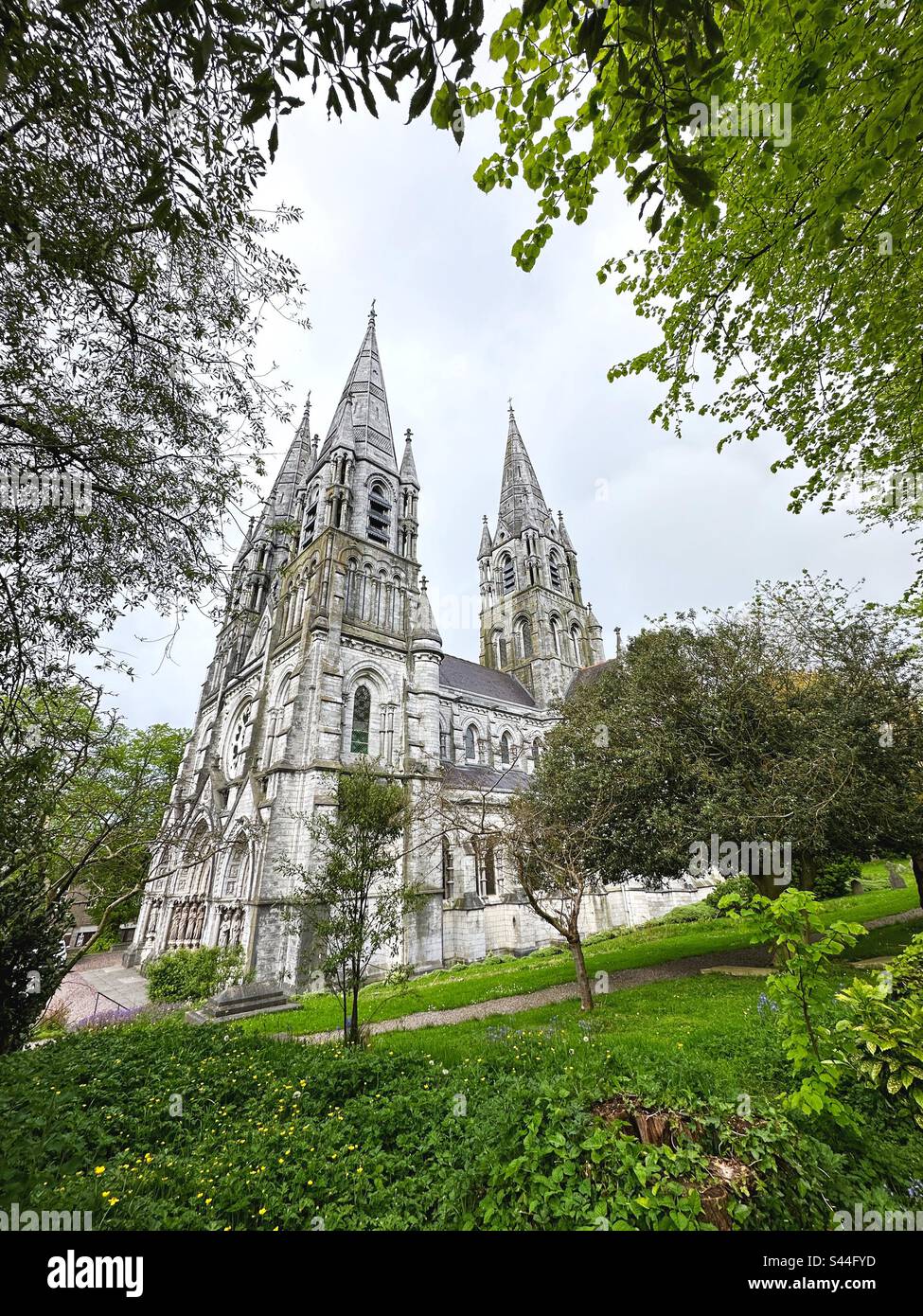 Cattedrale di Saint fin barre a Cork, Irlanda. Foto Stock