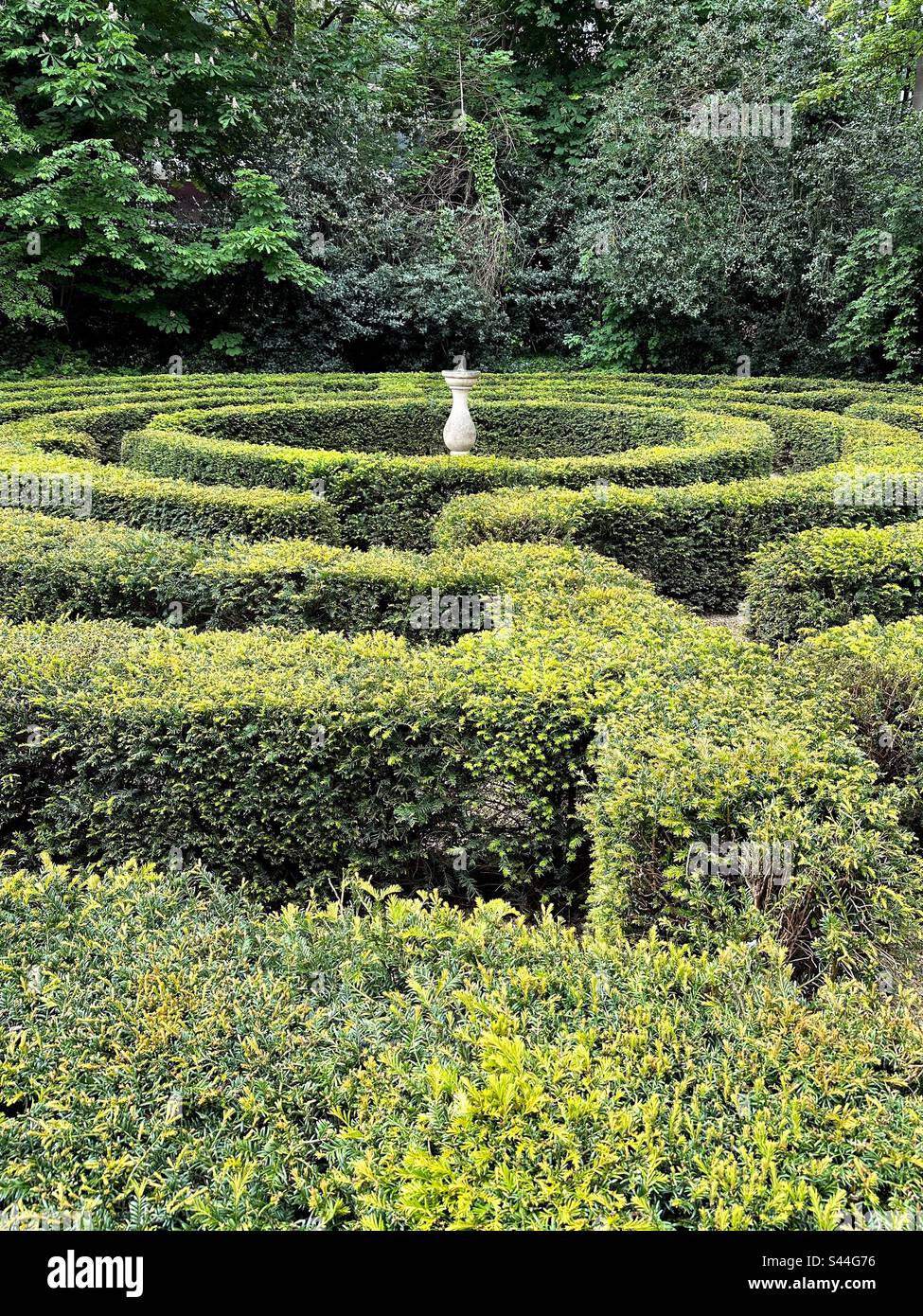 Il labirinto di Yew ai Giardini di Iveagh a Dublino, Irlanda. Foto Stock