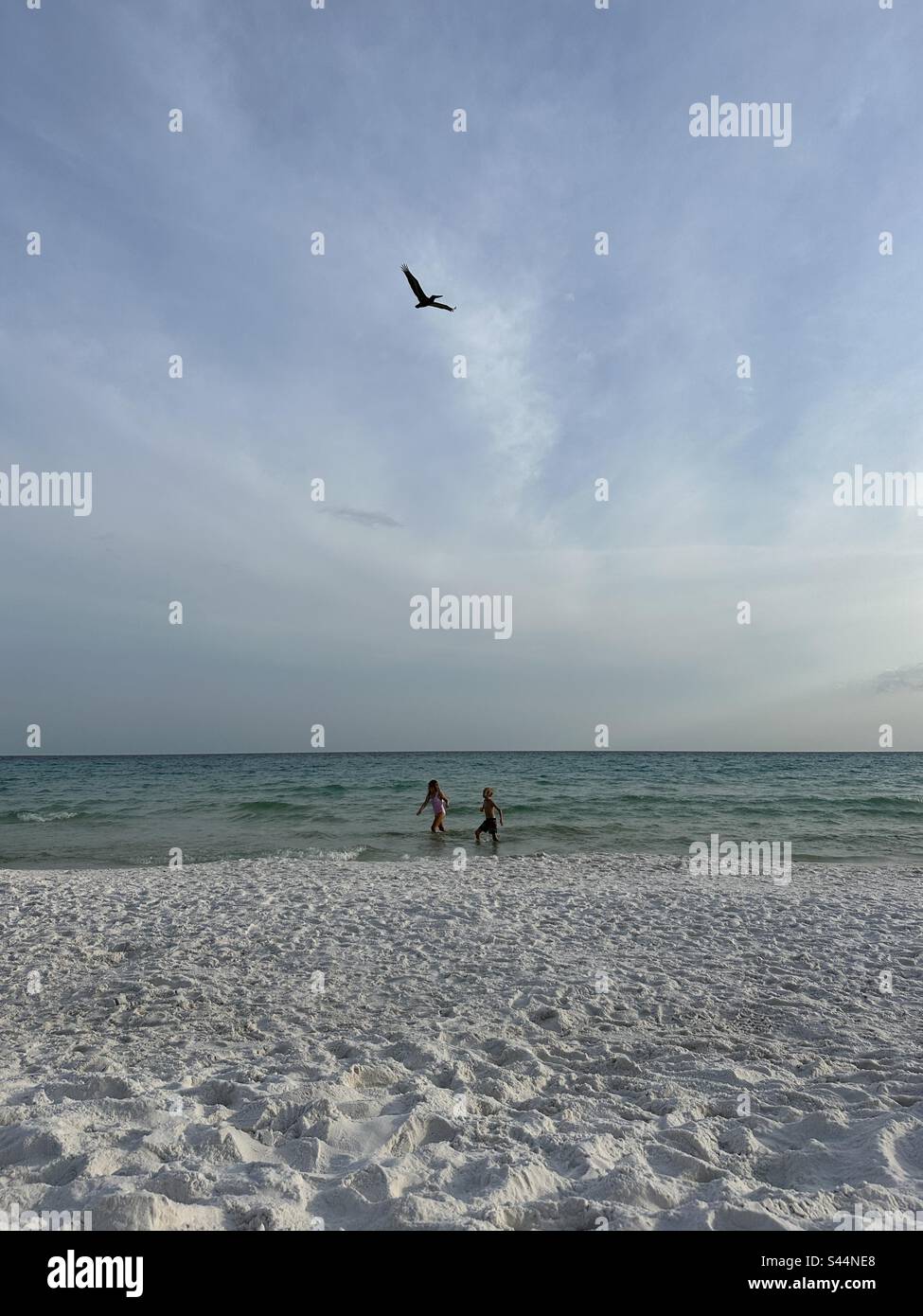 I bambini giocano al tramonto sulla spiaggia con un pellicano che vola sopra di loro Foto Stock
