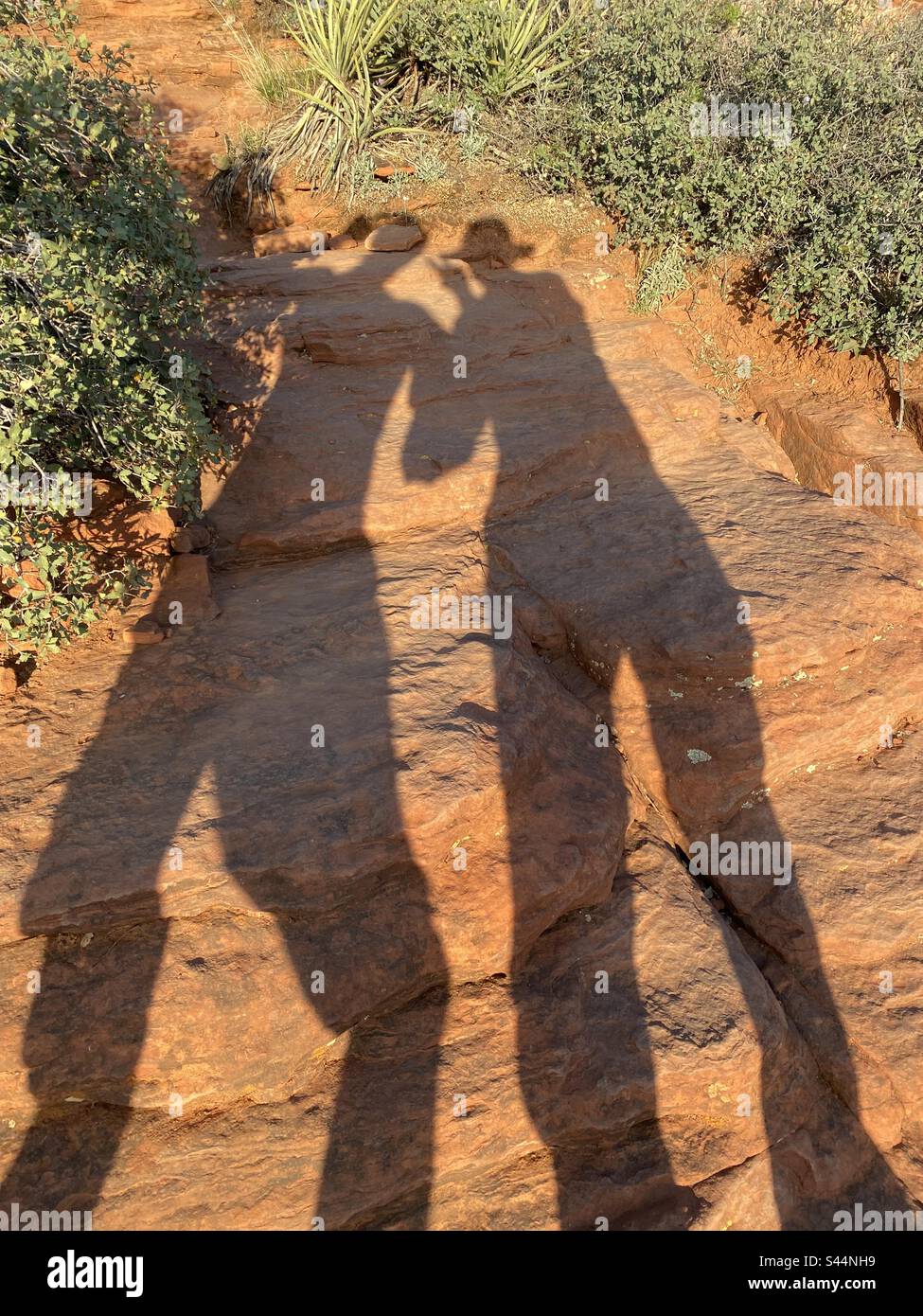 Ombre - Immagine stock catturata con smartphone