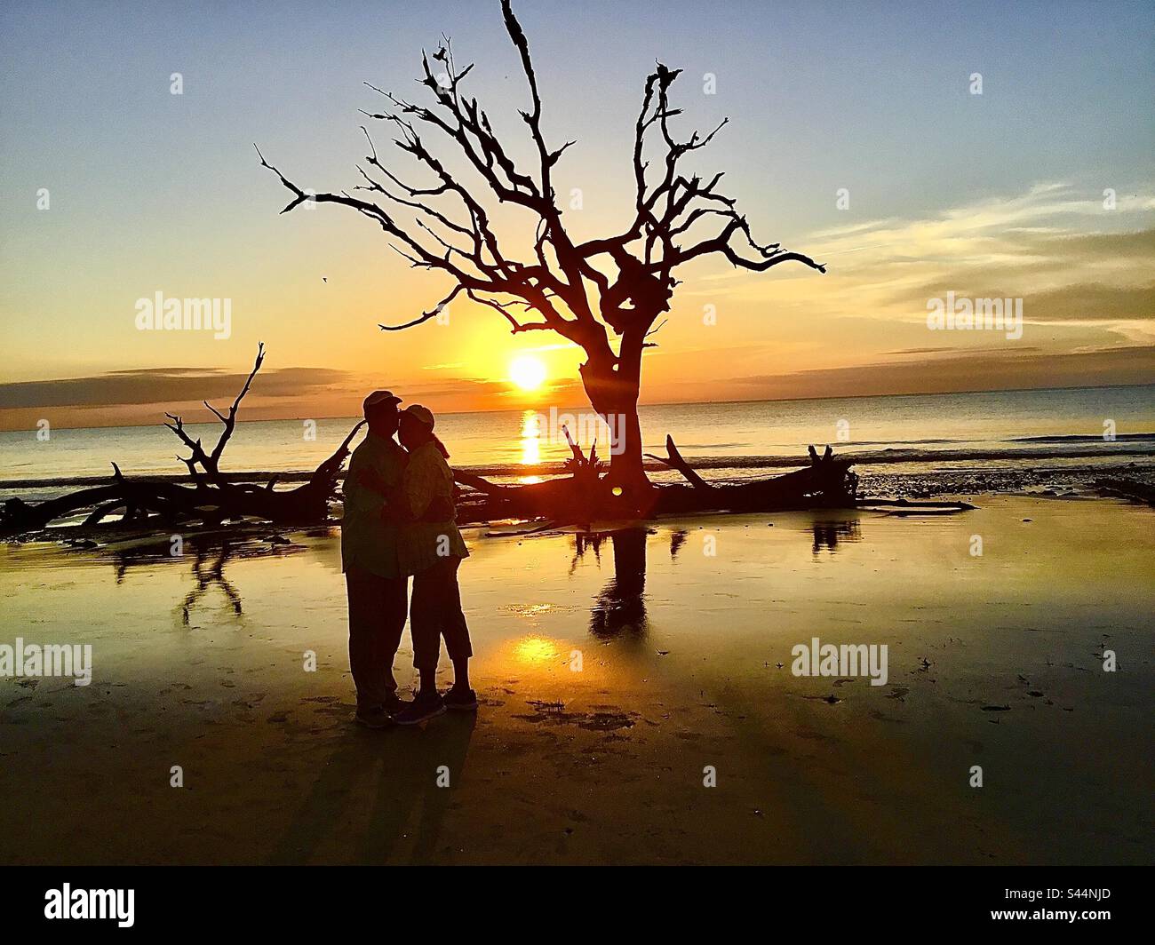 Festeggia la vita sulla spiaggia di Driftwood nell'isola di Jekyll, Georgia, all'alba Foto Stock