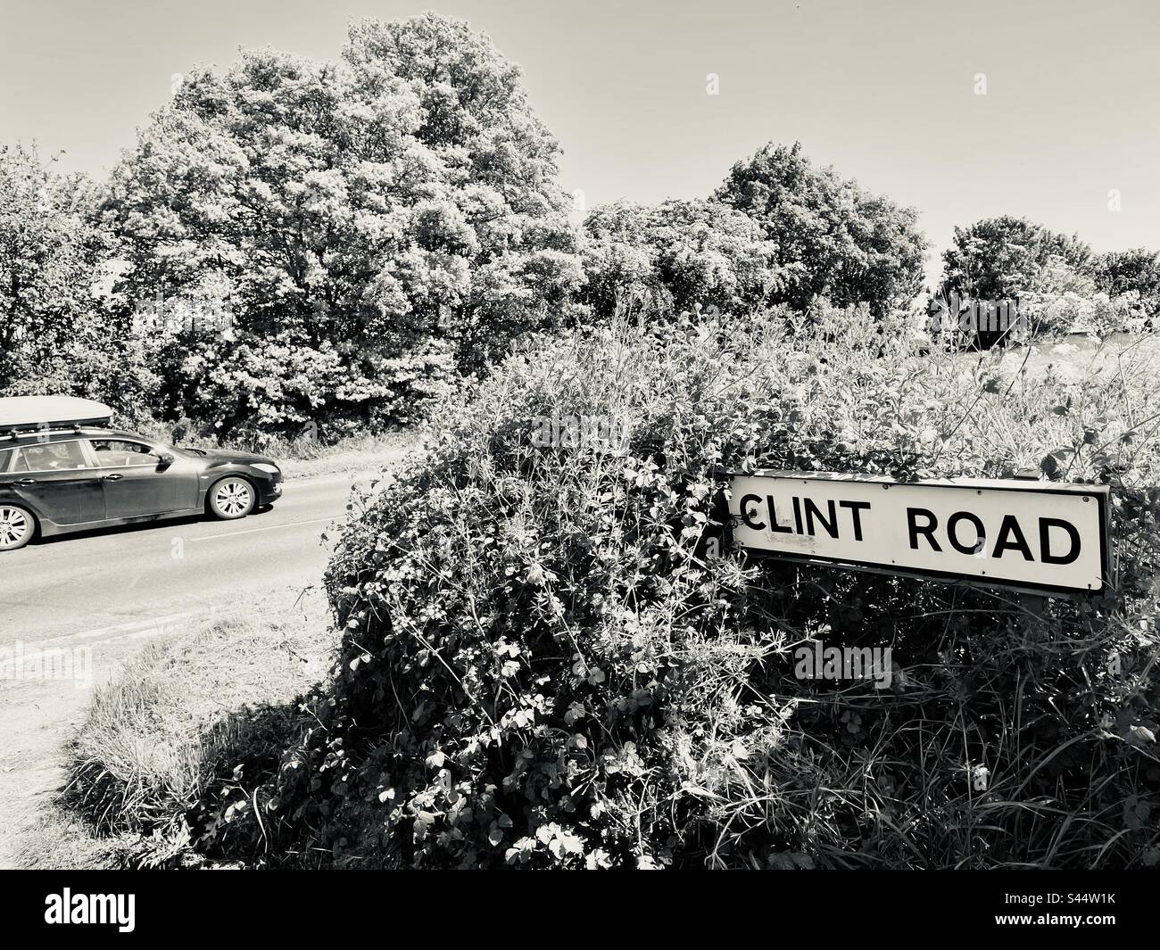 Clint Road Suffolk Inghilterra - Immagine stock catturata con smartphone