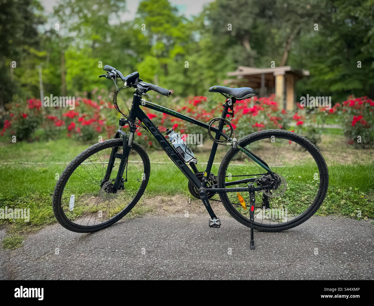 Una bicicletta parcheggiata di fronte al giardino e pronta per l'equitazione Foto Stock