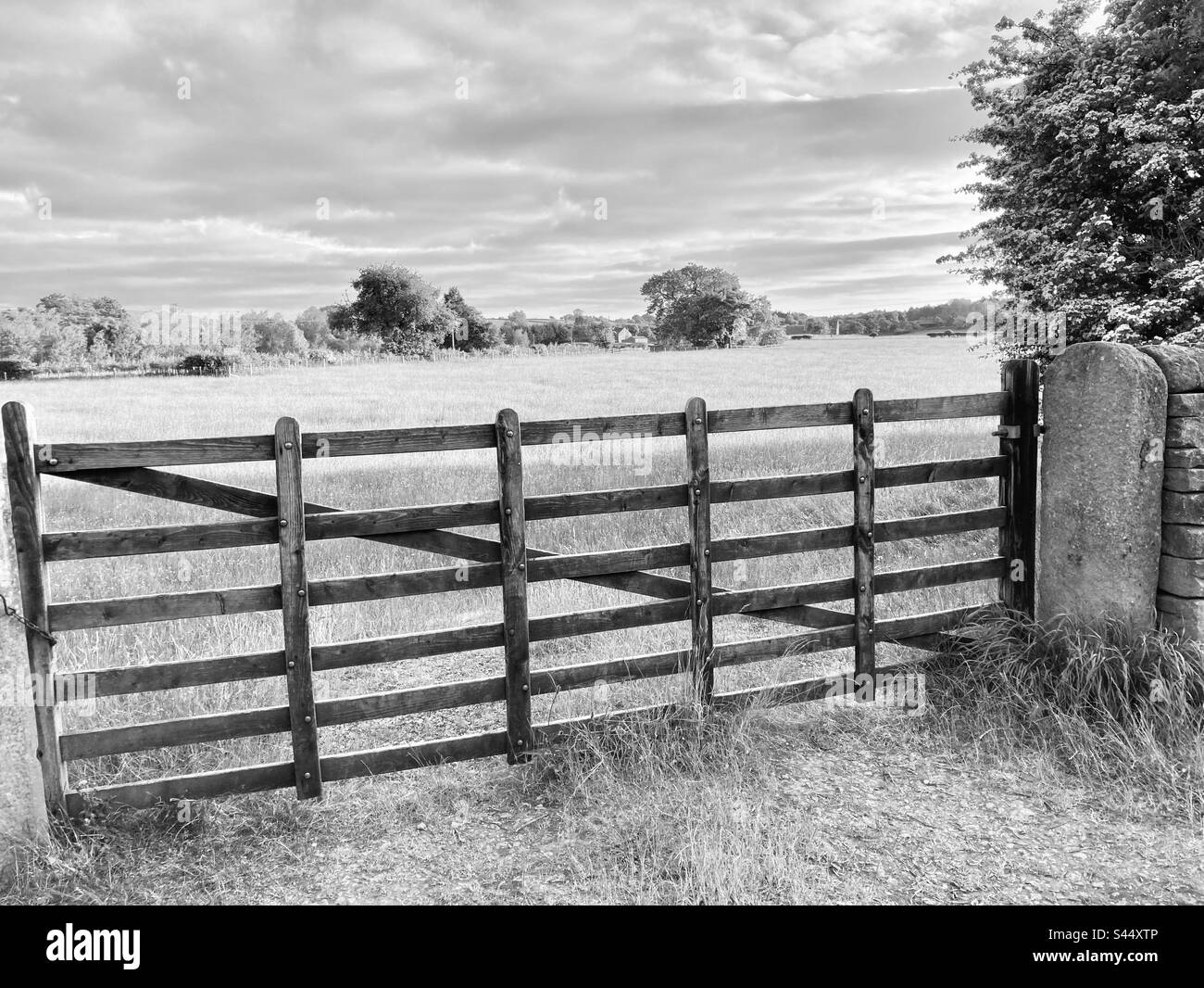 Cancello bianco e nero del campo degli agricoltori Foto Stock