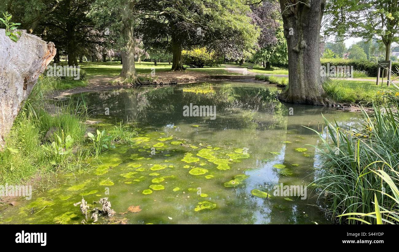 War Memorial Park, Coventry. Foto Stock