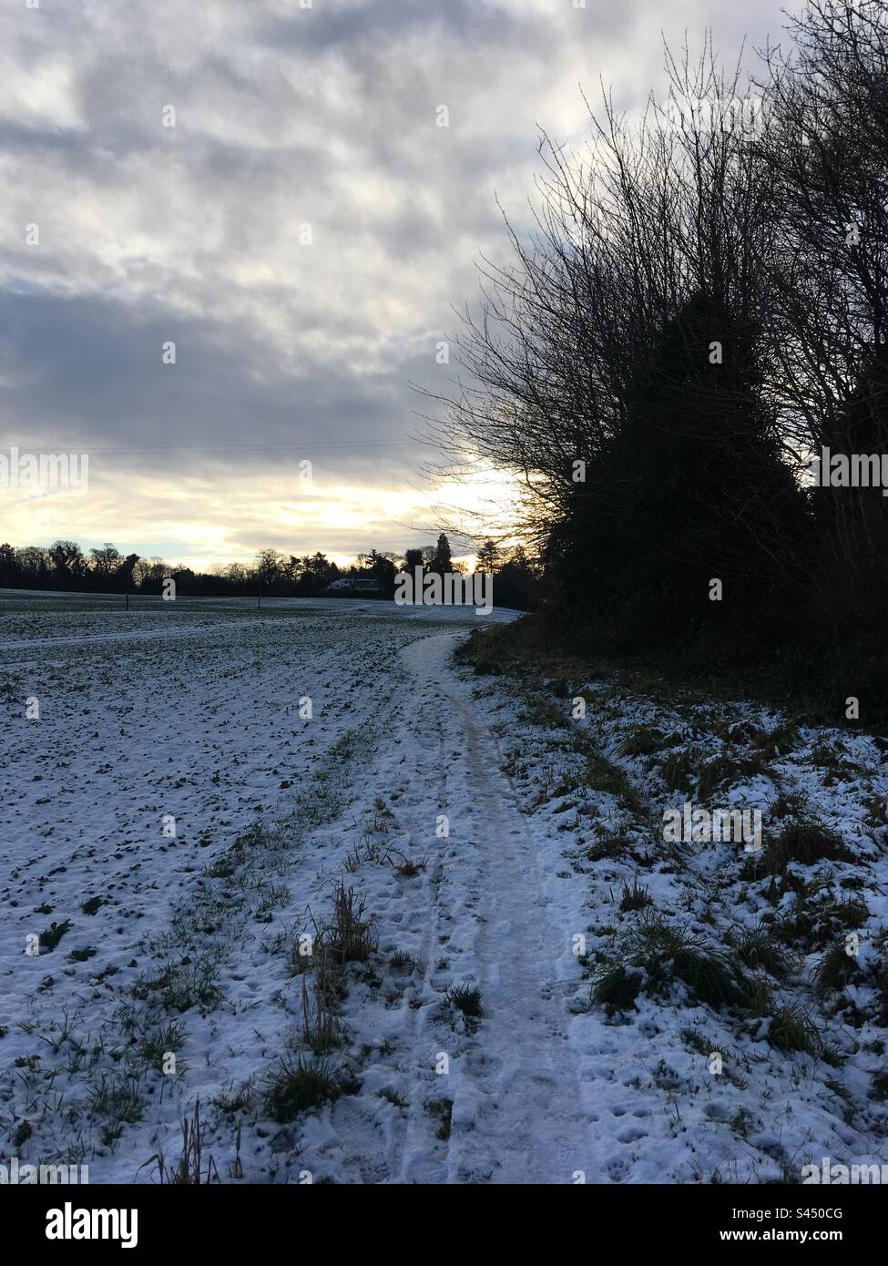 Luci d'inverno - Immagine stock catturata con smartphone
