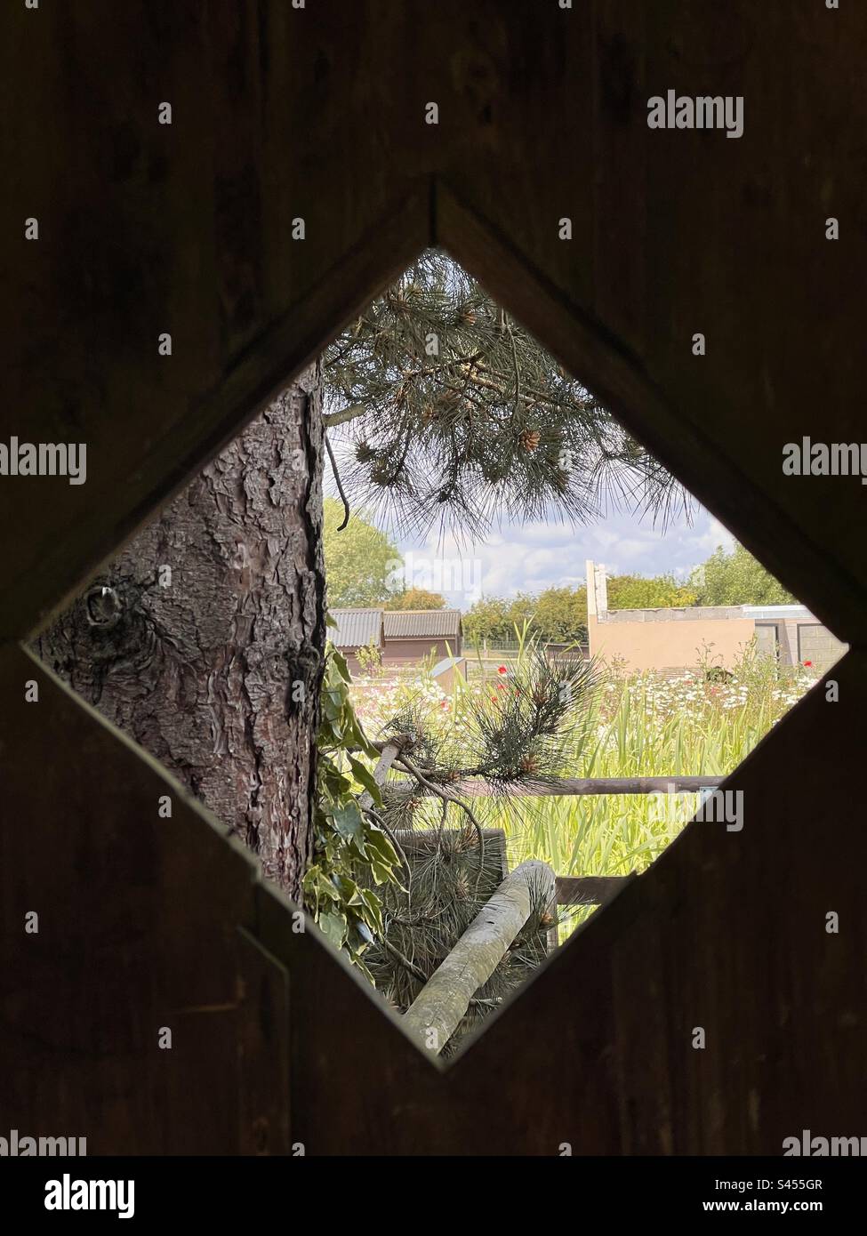 Vista incorniciata da un ritaglio in una vecchia porta di legno Foto Stock