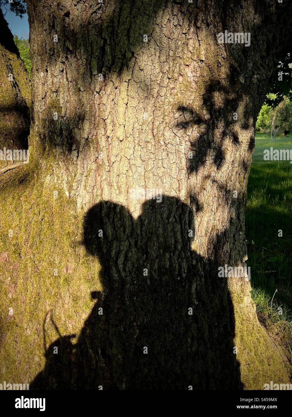 Le persone amorevoli ombra Liebespaar Schatten Foto Stock