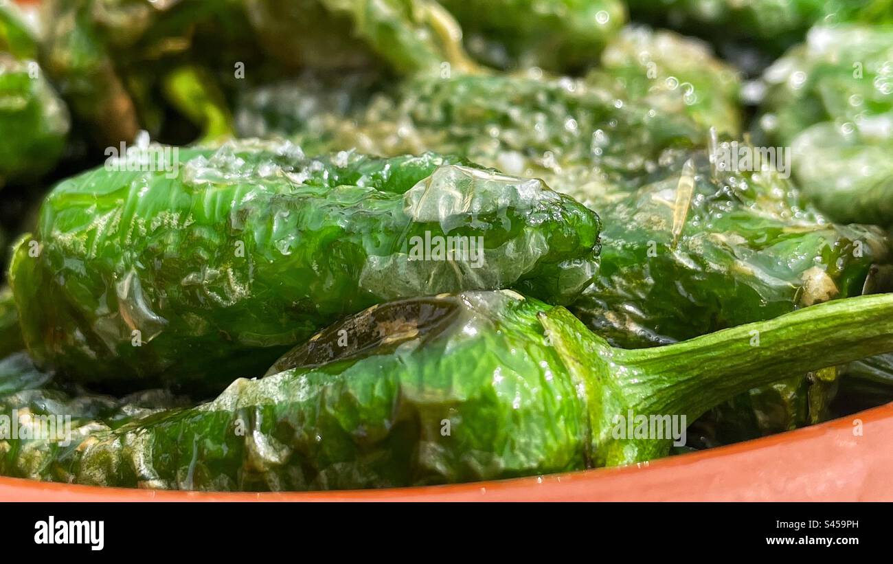 Peperoni padron Foto Stock