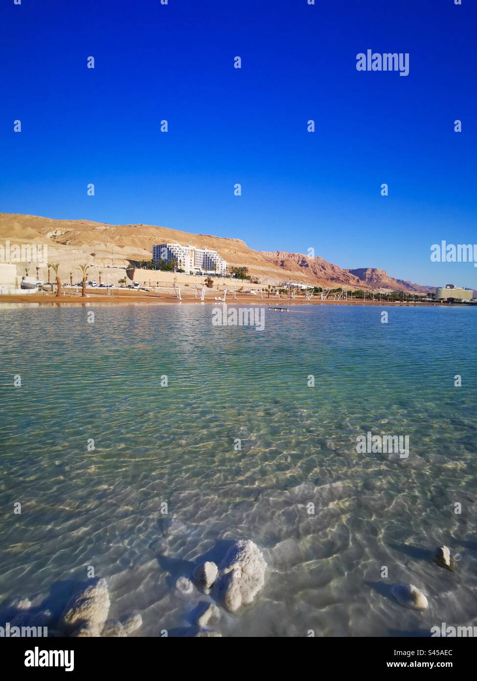 Il bellissimo Mar morto in Israele. Foto Stock