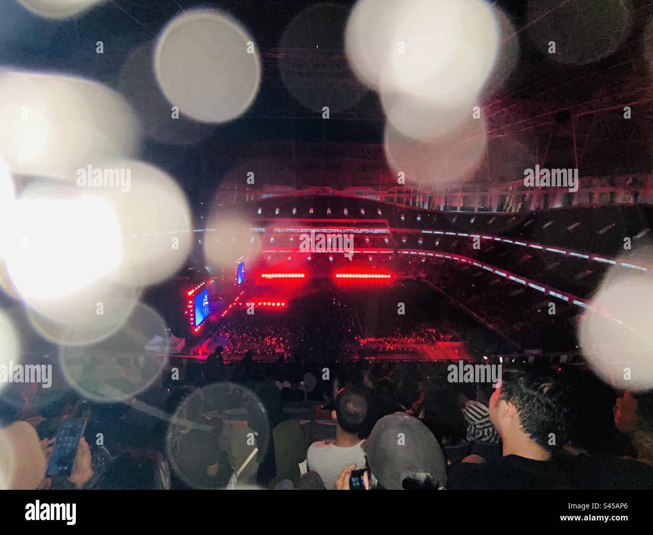 Un'affascinante folla di concerti nello stadio Foto Stock