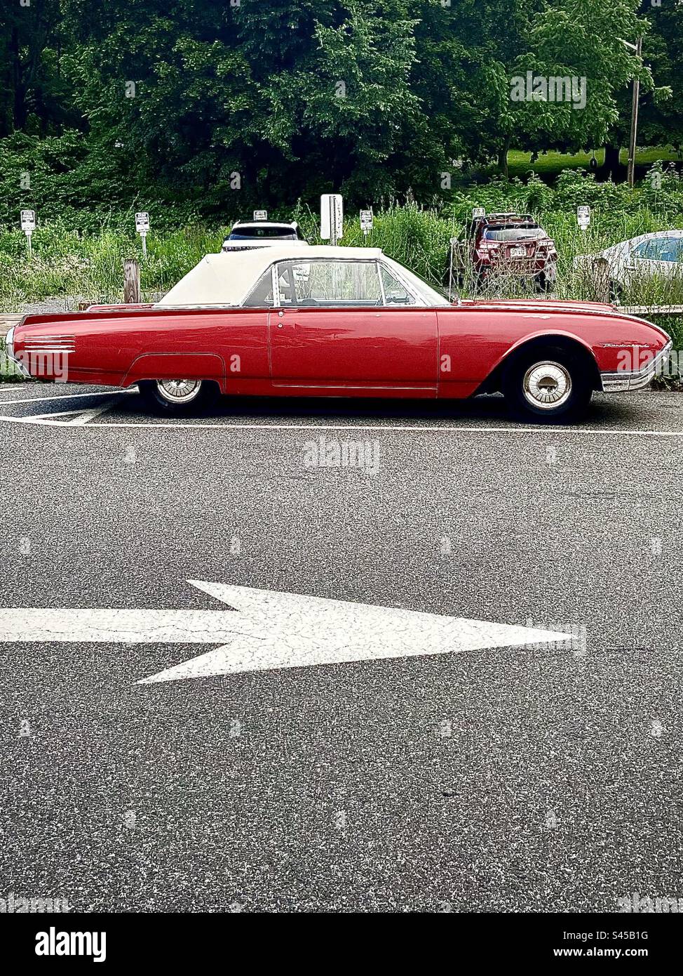 Vecchio uccello T a Great Barrington ma - Immagine stock catturata con smartphone