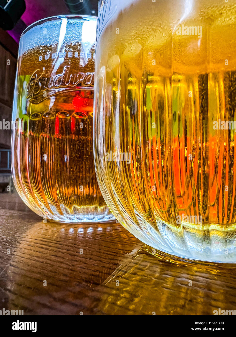 Due pinte di rinfrescante lager budvar Foto Stock