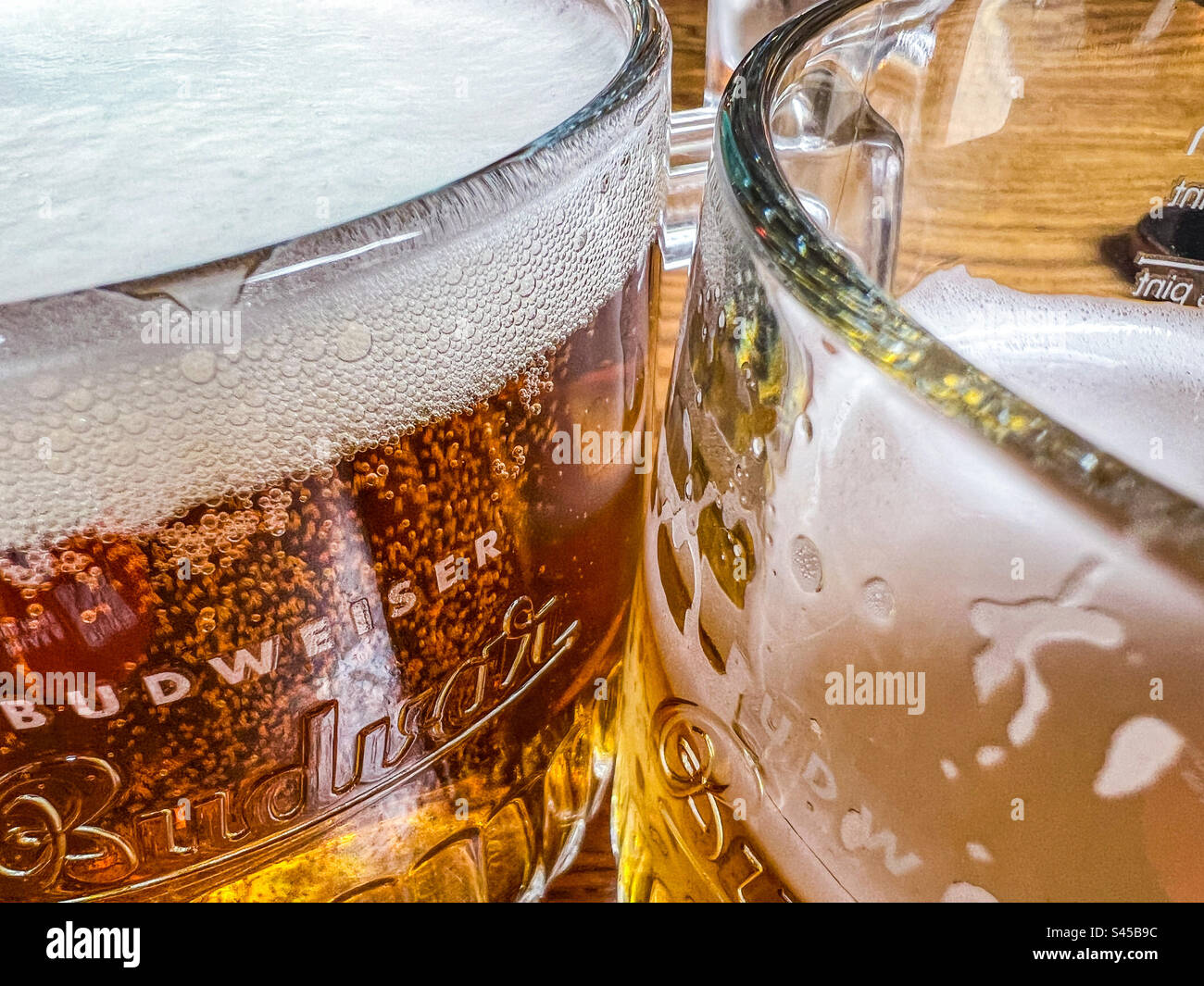 Due pinte di rinfrescante lager budvar Foto Stock