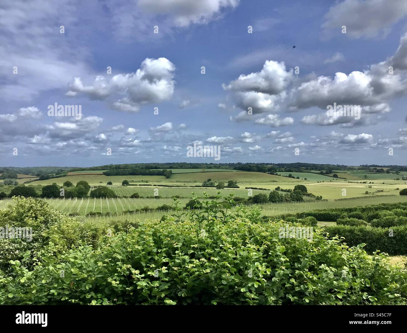 East Sussex Landscape Foto Stock