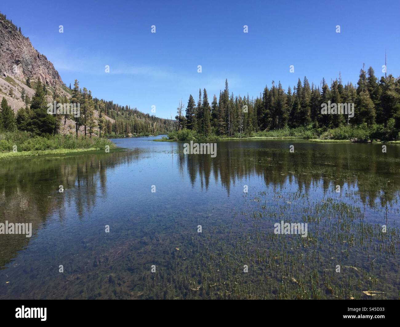 Lago molto limpido con pini e cieli blu di Mountain View Foto Stock