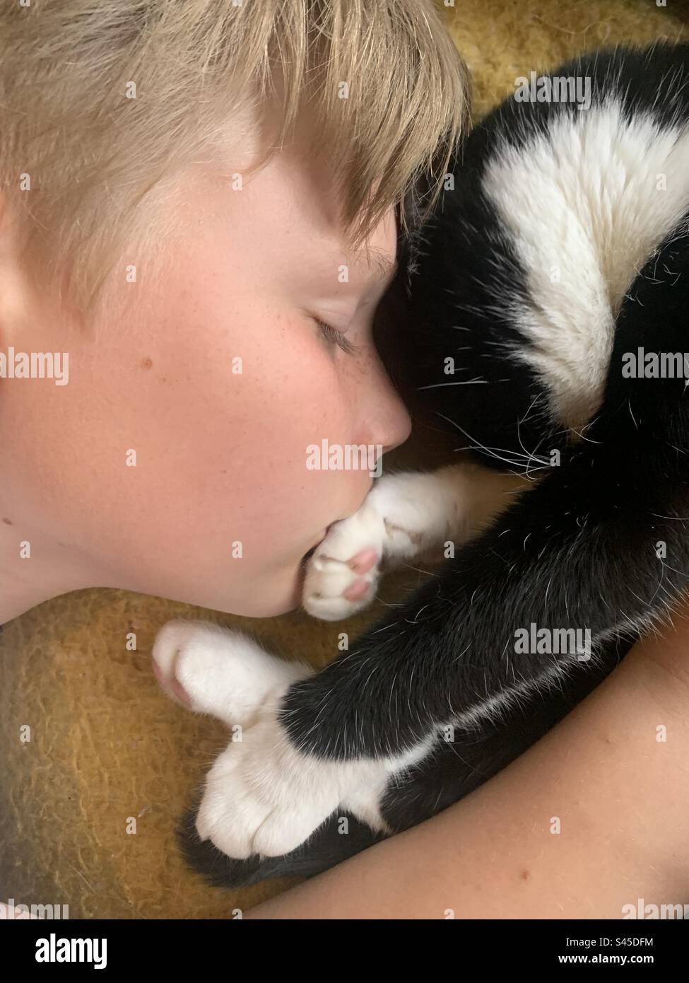 Ragazzo che dorme con gatto domestico Foto Stock